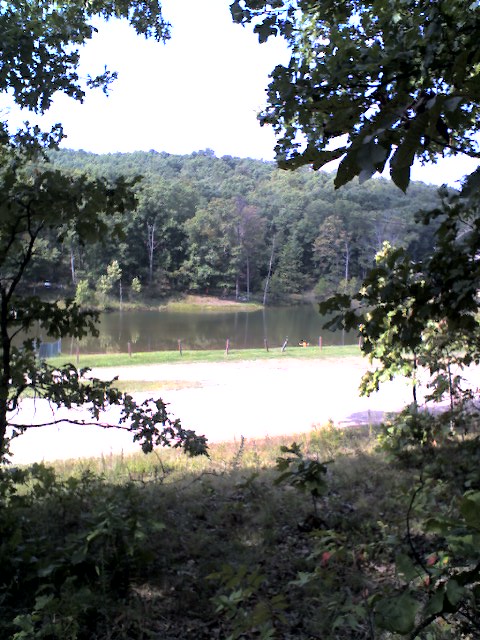 Taken from Driftwood & Woodland at Green's Lake.